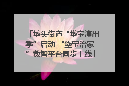 垡头街道“垡宝演出季”启动 “垡宝治家”数智平台同步上线