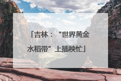 吉林：“世界黄金水稻带”上插秧忙