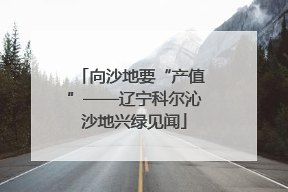 向沙地要“产值”——辽宁科尔沁沙地兴绿见闻