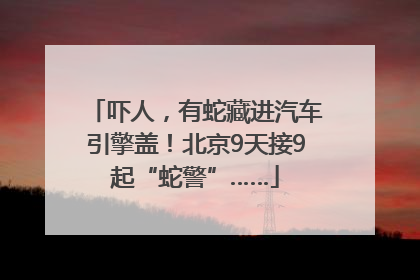 吓人，有蛇藏进汽车引擎盖！北京9天接9起“蛇警”……