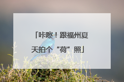 咔嚓！跟福州夏天拍个“荷”照