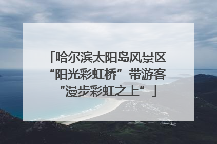 哈尔滨太阳岛风景区“阳光彩虹桥”带游客“漫步彩虹之上”