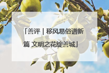善评｜移风易俗谱新篇 文明之花绽善城
