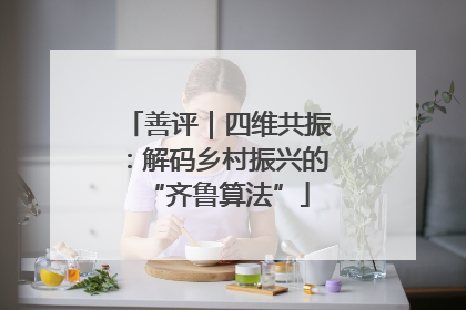 善评｜四维共振：解码乡村振兴的“齐鲁算法”