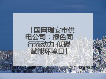 国网瑞安市供电公司：绿色同行添动力 低碳赋能环境日