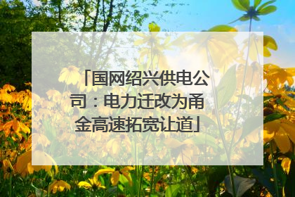 国网绍兴供电公司：电力迁改为甬金高速拓宽让道