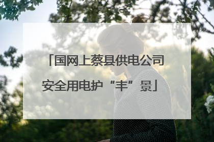 国网上蔡县供电公司安全用电护“丰”景