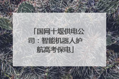 国网十堰供电公司：智能机器人护航高考保电