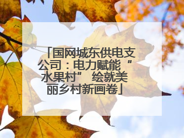 国网城东供电支公司：电力赋能“水果村” 绘就美丽乡村新画卷