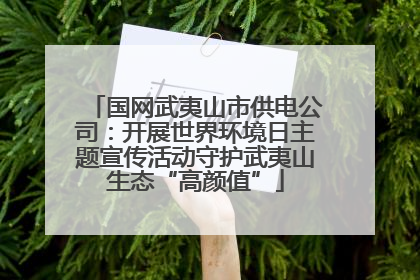 国网武夷山市供电公司：开展世界环境日主题宣传活动守护武夷山生态“高颜值”