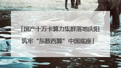 国产十万卡算力集群落地庆阳 筑牢“东数西算”中国底座
