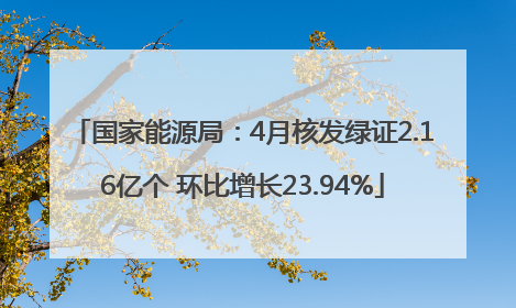 国家能源局：4月核发绿证2.16亿个 环比增长23.94%