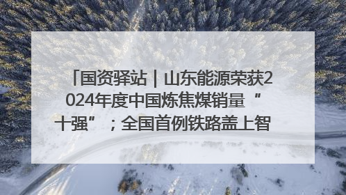 国资驿站｜山东能源荣获2024年度中国炼焦煤销量“十强”；全国首例铁路盖上智慧物流园钢结构主体完工
