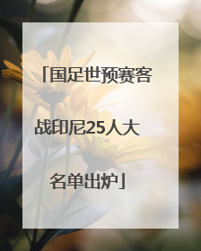 国足世预赛客战印尼25人大名单出炉