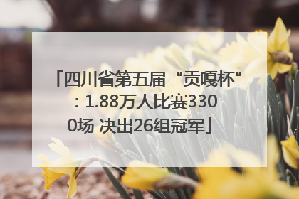 四川省第五届“贡嘎杯”：1.88万人比赛3300场 决出26组冠军