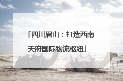 四川眉山：打造西南天府国际物流枢纽