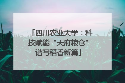 四川农业大学：科技赋能“天府粮仓”谱写稻香新篇