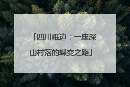四川峨边:一座深山村落的蝶变之路