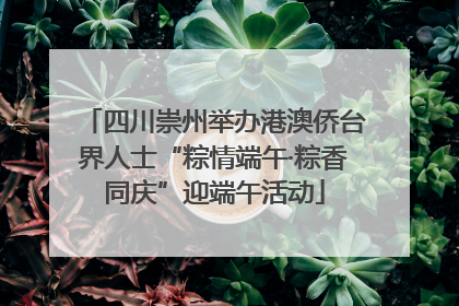 四川崇州举办港澳侨台界人士“粽情端午·粽香同庆”迎端午活动