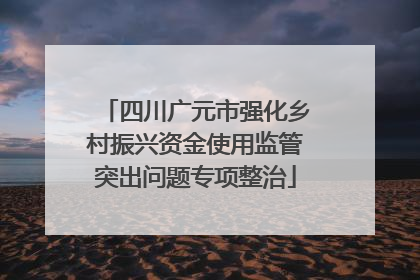 四川广元市强化乡村振兴资金使用监管突出问题专项整治