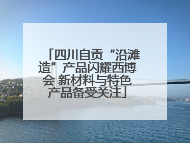 四川自贡“沿滩造”产品闪耀西博会 新材料与特色产品备受关注