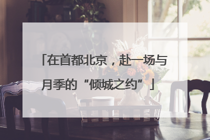在首都北京，赴一场与月季的“倾城之约”