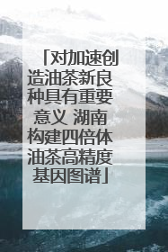对加速创造油茶新良种具有重要意义 湖南构建四倍体油茶高精度基因图谱