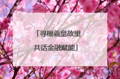 寻根羲皇故里 共话金融赋能