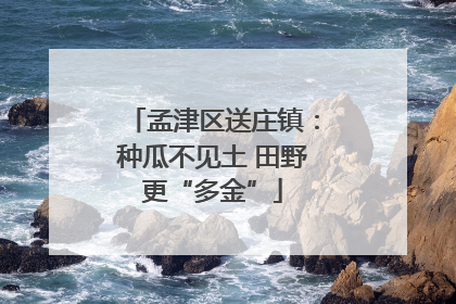 孟津区送庄镇：种瓜不见土 田野更“多金”