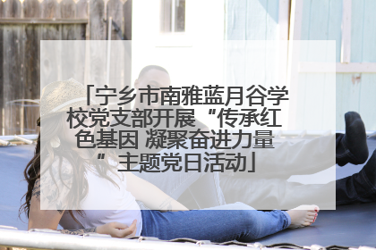 宁乡市南雅蓝月谷学校党支部开展“传承红色基因 凝聚奋进力量”主题党日活动