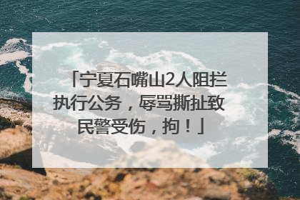 宁夏石嘴山2人阻拦执行公务，辱骂撕扯致民警受伤，拘！