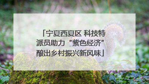 宁夏西夏区 科技特派员助力“紫色经济”酿出乡村振兴新风味