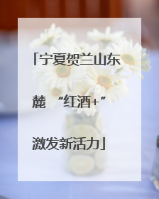 宁夏贺兰山东麓 “红酒+”激发新活力