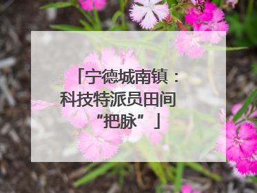 宁德城南镇：科技特派员田间“把脉”