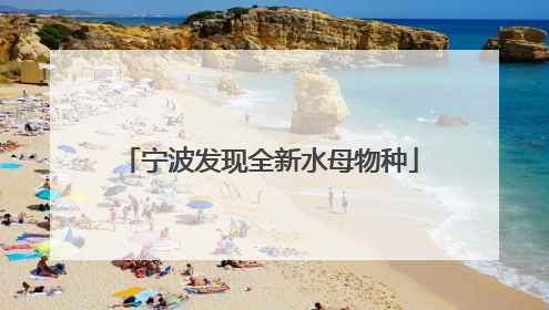 宁波发现全新水母物种