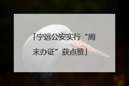 宁远公安实行“周末办证”获点赞