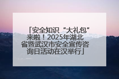 安全知识“大礼包”来啦！2025年湖北省暨武汉市安全宣传咨询日活动在汉举行