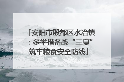 安阳市殷都区水冶镇：多举措备战“三夏” 筑牢粮食安全防线
