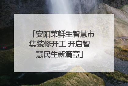 安阳菜鲜生智慧市集装修开工 开启智慧民生新篇章