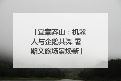 宜章莽山：机器人与企鹅共舞 暑期文旅场景焕新