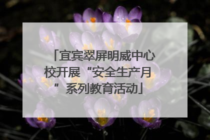 宜宾翠屏明威中心校开展“安全生产月”系列教育活动