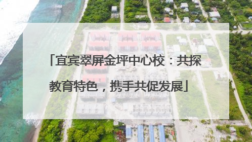 宜宾翠屏金坪中心校：共探教育特色，携手共促发展