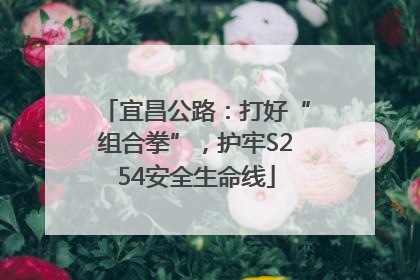 宜昌公路：打好“组合拳”，护牢S254安全生命线