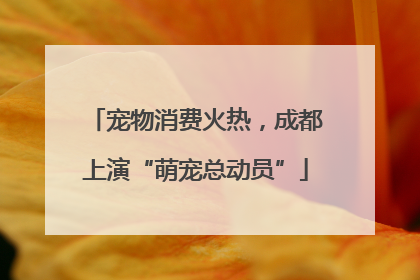宠物消费火热，成都上演“萌宠总动员”