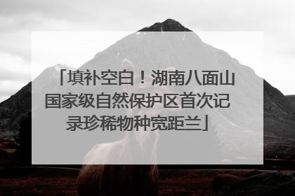 填补空白！湖南八面山国家级自然保护区首次记录珍稀物种宽距兰
