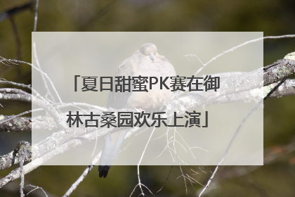 夏日甜蜜PK赛在御林古桑园欢乐上演