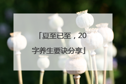 夏至已至，20字养生要诀分享