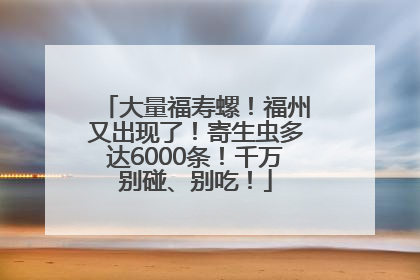 大量福寿螺！福州又出现了！寄生虫多达6000条！千万别碰、别吃！