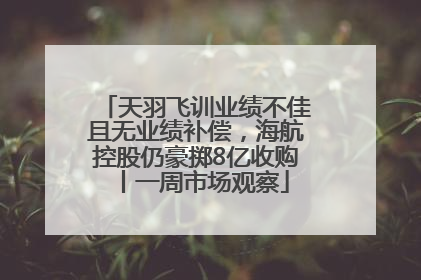天羽飞训业绩不佳且无业绩补偿，海航控股仍豪掷8亿收购丨一周市场观察