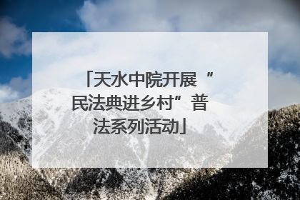 天水中院开展“民法典进乡村”普法系列活动